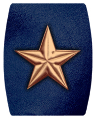 DAREC 430 CP BL Star Copper Blue